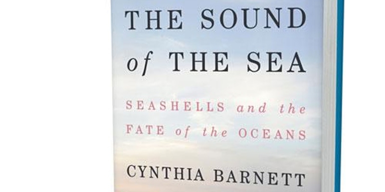 cynthia barnett the sound of the sea
