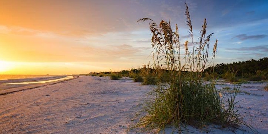 beach walk