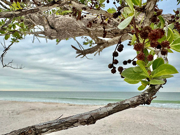 beach-and-estuary-web